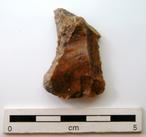 P-1181.jpg