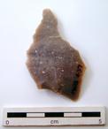 P-1190.jpg