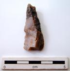 P-1191.jpg