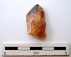 P-1199.jpg