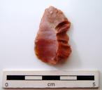 P-1201.jpg