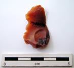 P-1202.jpg