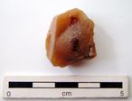 P-1204.jpg