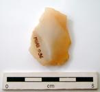 P-1206.jpg