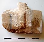 P-1323.jpg
