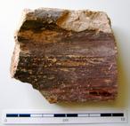 P-1335.jpg