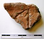 P-1337.jpg