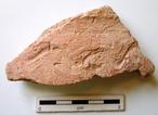 P-1348.jpg