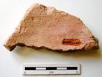 P-1349.jpg