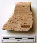 P-1355.jpg