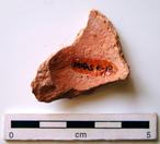 P-1457.jpg