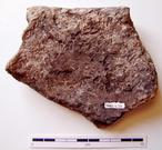 P-1481.jpg