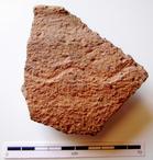 P-1486.jpg