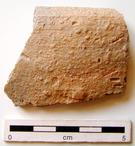 P-1498.jpg