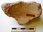 P-1519.jpg