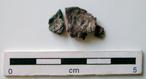 P-1533.jpg
