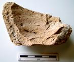 P-1538.jpg
