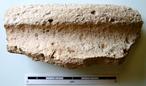 P-1561.jpg