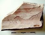 P-1566.jpg
